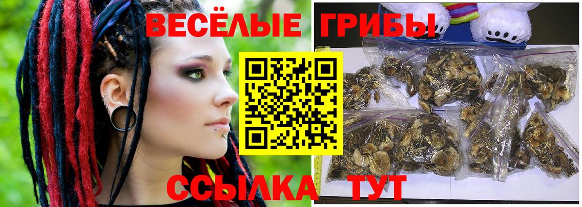 Чехов  Псилоцибиновые грибы GOLDEN TEACHER  Вход с VPN 