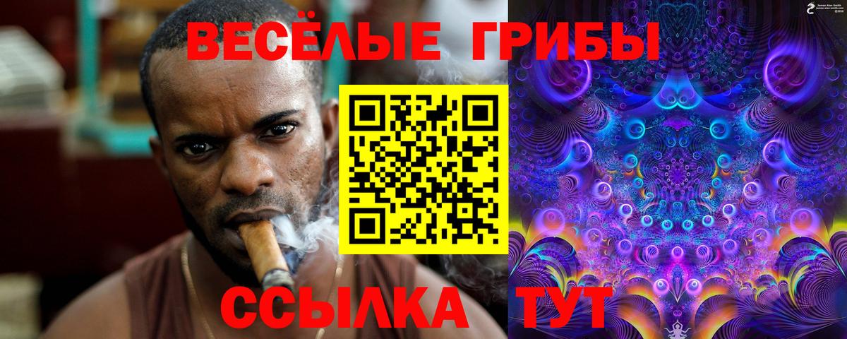 Псилоцибиновые грибы Psilocybine cubensis Чехов